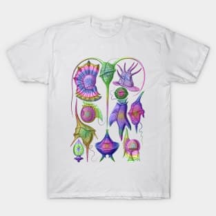 Ernst Haeckel Pastel  Rainbow  Peridinea T-Shirt